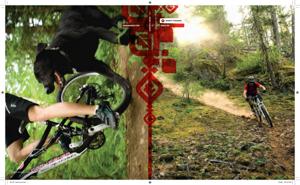 Gary Fisher 2009 Catalog